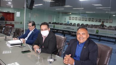 Câmara aprova 177 matérias com foco em infraestrutura, inclusão e fortalecimento dos serviços públicos