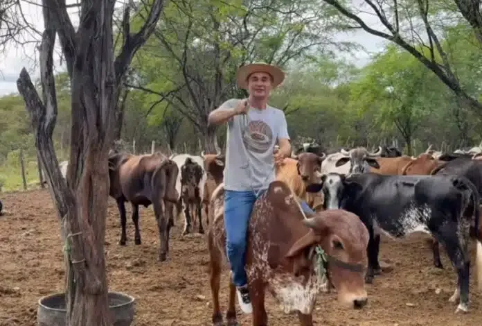 O recado de Romero para a classe política, sobre 2026 O recado de Romero para a classe política, sobre 2026