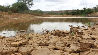 Governo Federal reconhece situação de emergência em municípios da Paraíba por estiagem