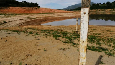 Governo Federal reconhece situação de emergência em três cidades da Paraíba por causa da estiagem