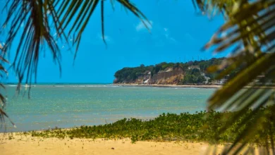 Com aumento de 15,26% no número de habitantes, João Pessoa lidera crescimento populacional no Nordeste