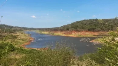 Mais de 30 açudes na Paraíba podem secar a qualquer momento; 47 despertam preocupação